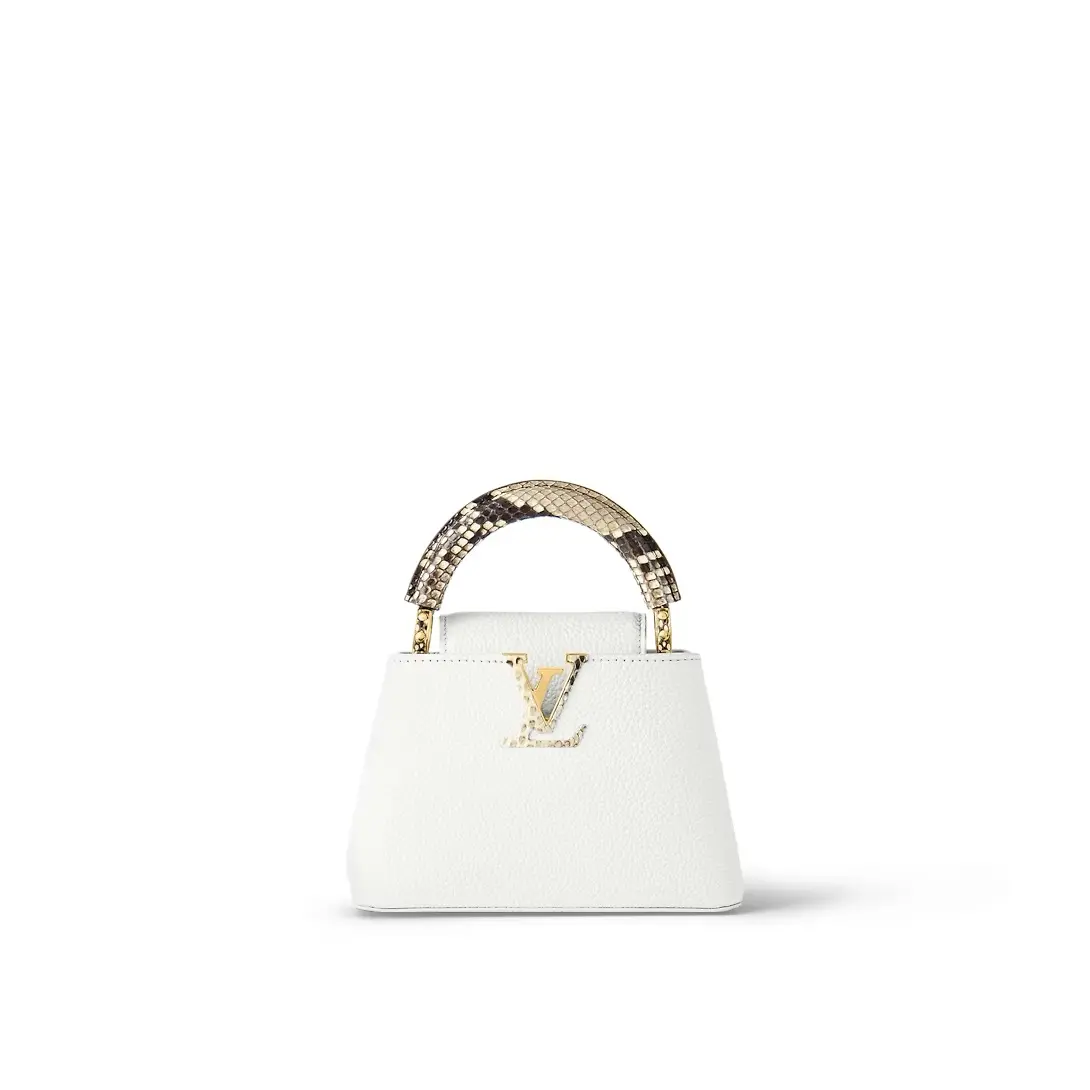 Capucines Mini Handbag N98477